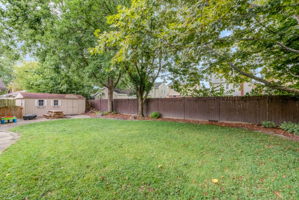 28 Backyard