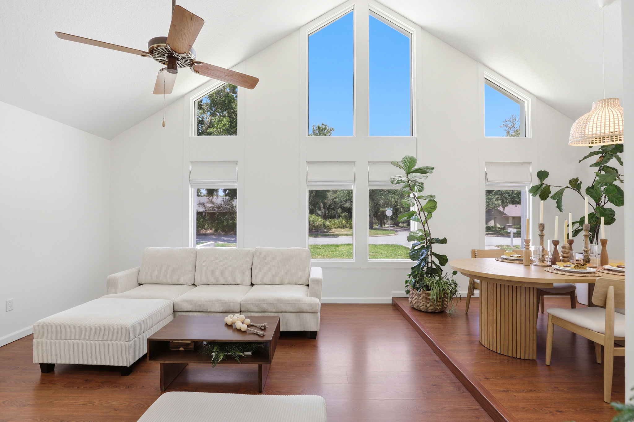 Natural Light in Living and Dining room