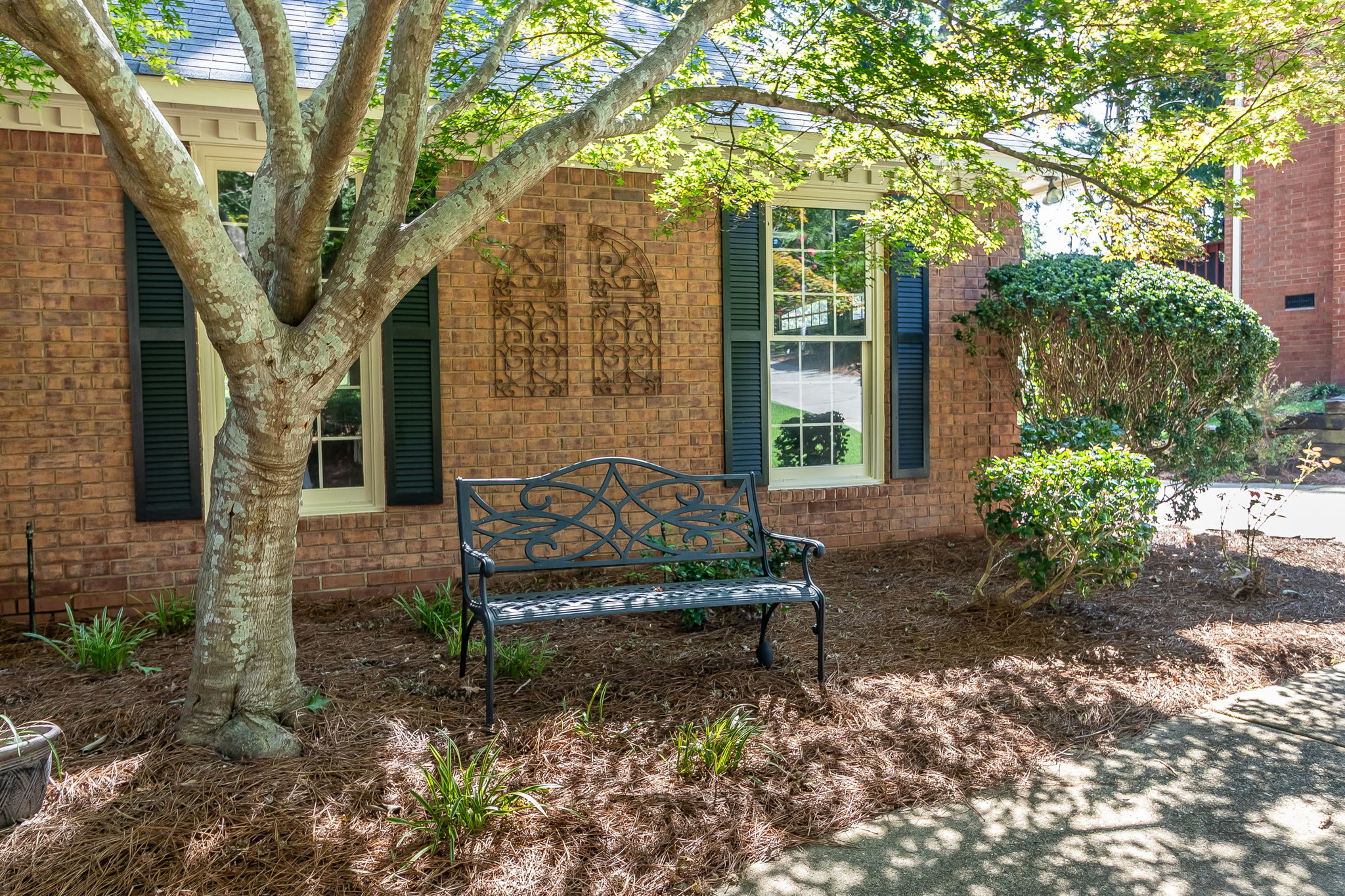 Beautiful Mature Landscaping