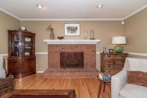 Living Room Fireplace