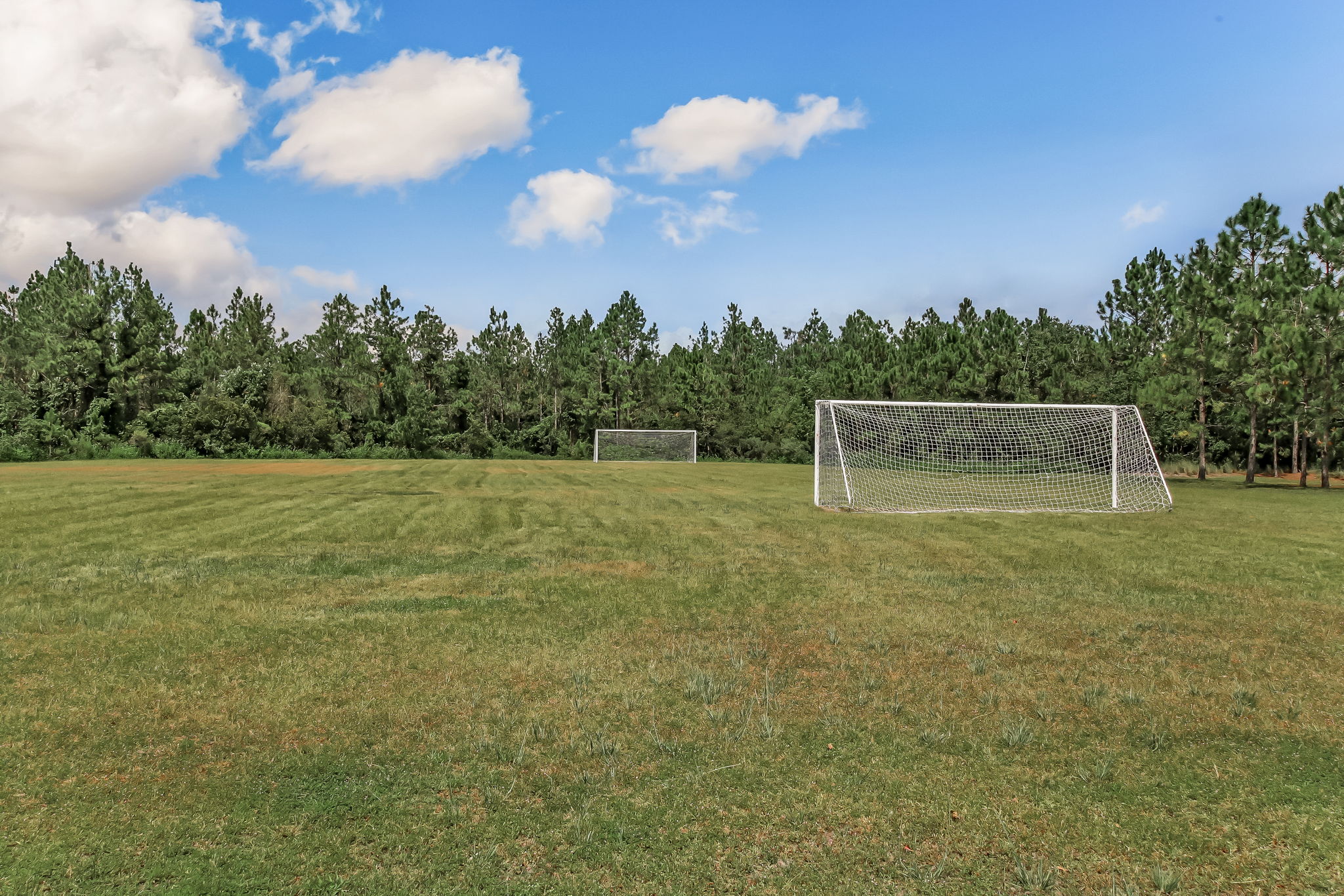 The Colony at Greenbriar