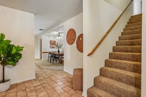 Mindt Ct-S2104-005.jpg