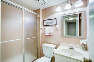 Lower Level Bathroom