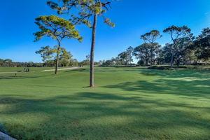 Shoal Creek Ln E-048