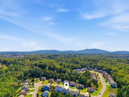  Photo 50