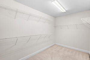  Photo 50