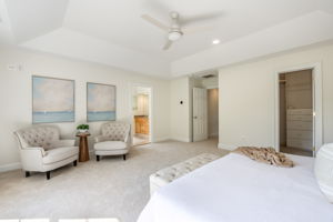 Expansive Primary Bedroom with Tray Ceiling