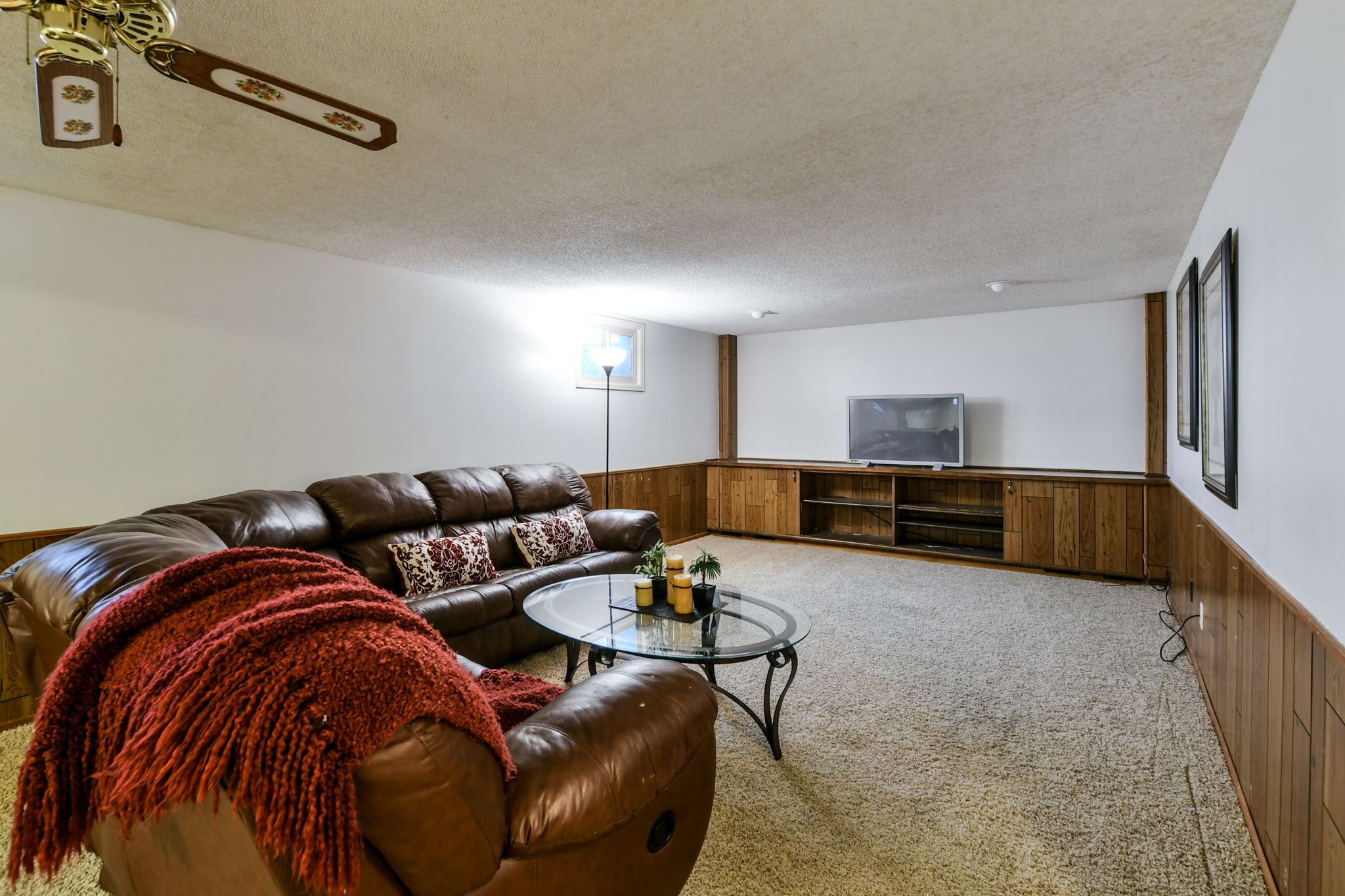 Basement Living Area
