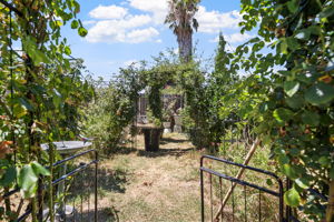  Photo 37