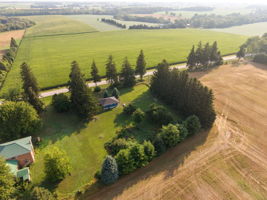  Photo 41