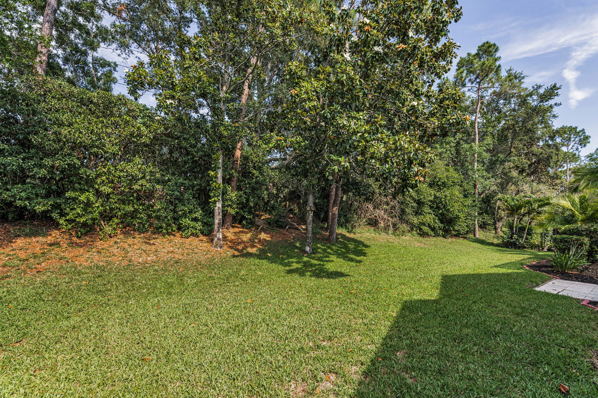 Backyard2
