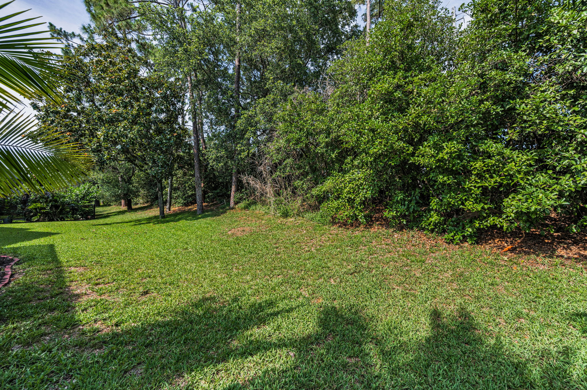 Backyard3
