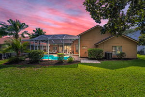 Backyard5