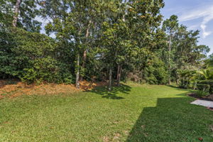 Backyard2
