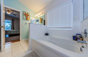 Master Bathroom 1b