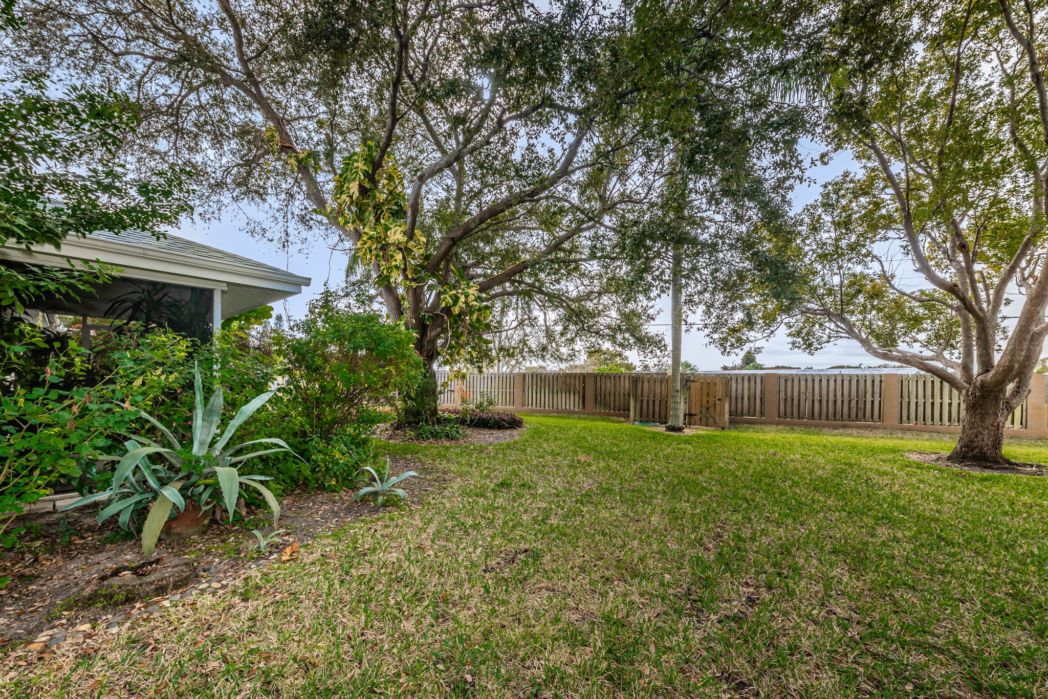 Backyard1-2