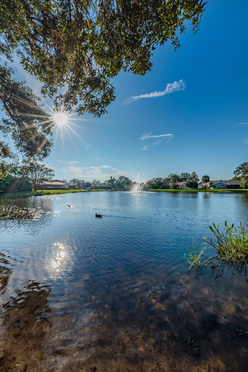 11-Adjacent Pond View
