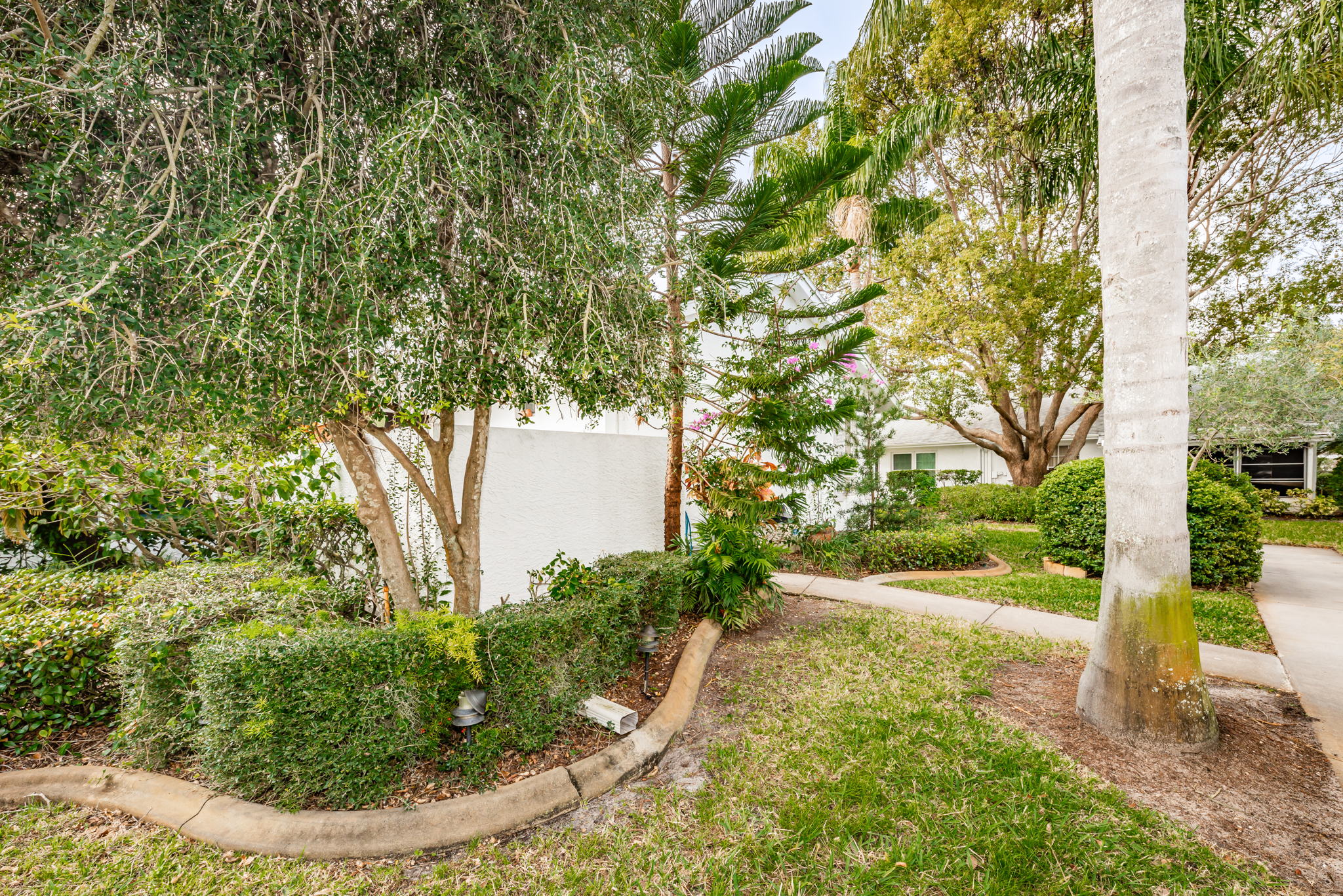 Frontyard