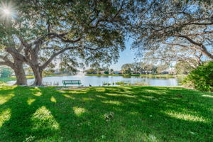 9-Adjacent Pond View