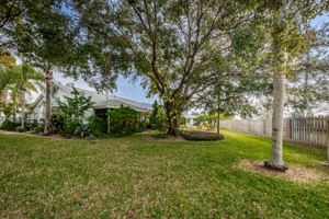 Backyard2-2