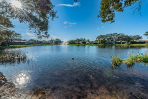 10-Adjacent Pond View
