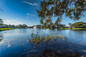 12-Adjacent Pond View
