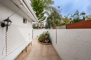 Patio2