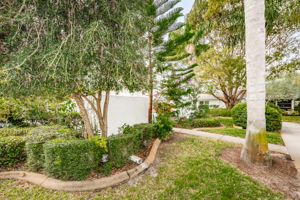 Frontyard