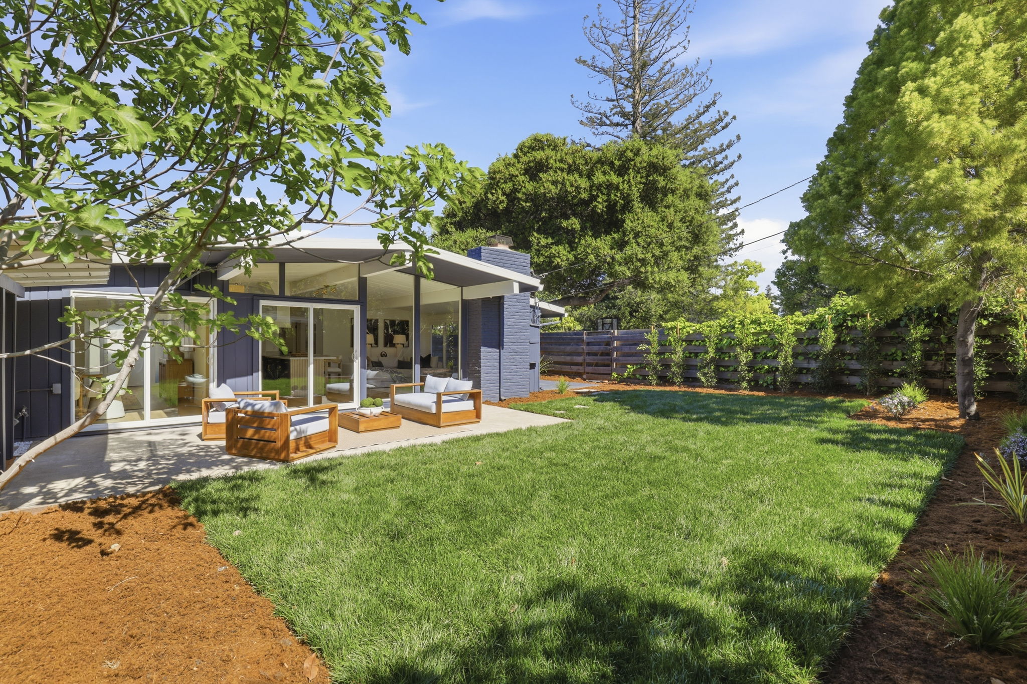 Backyard