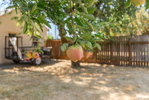  Photo 37