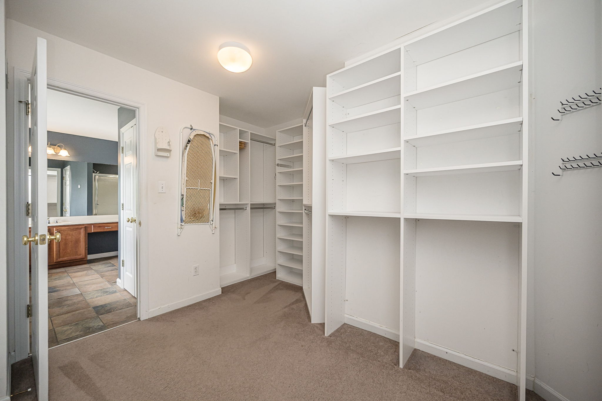  Photo 50