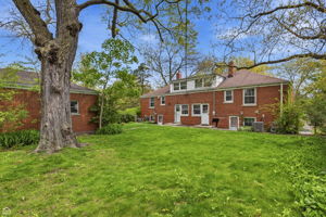 Large, shared backyard