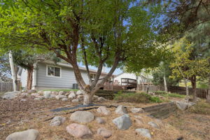 Easy to maintain backyard