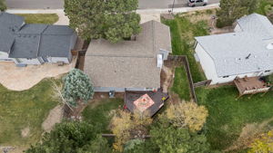 Lots of mature trees in backyard
