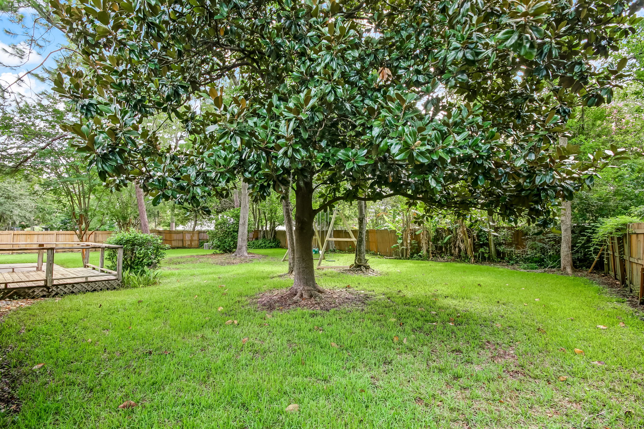 Back Yard