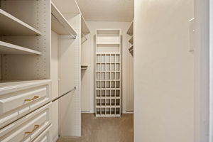 Walk-in closet with Custom organization