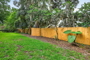  Photo 49