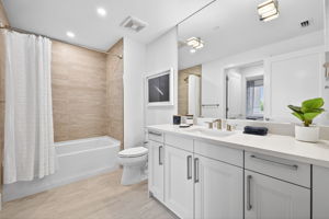 Guest Bathroom 1