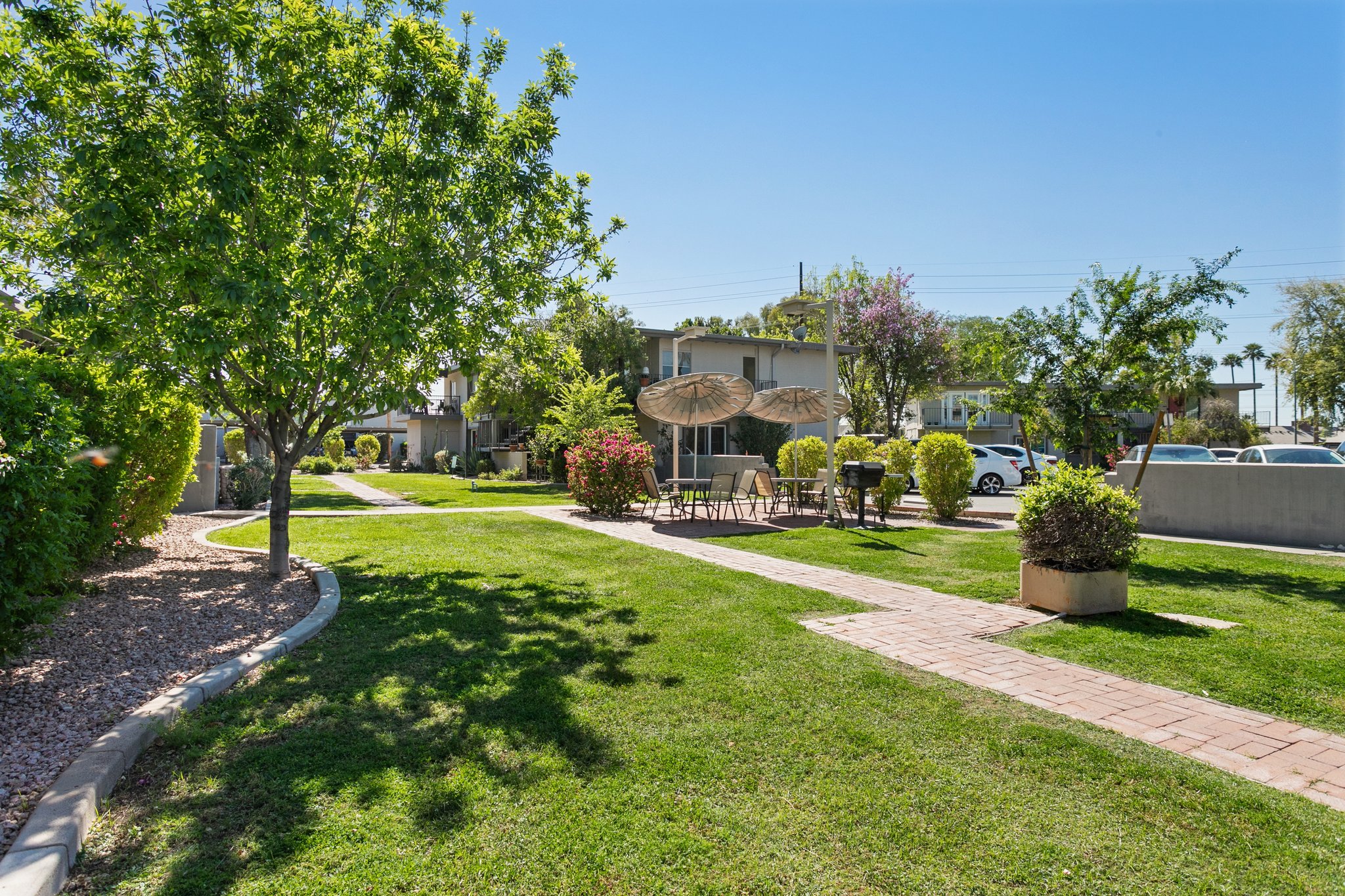 4142 E Calle Redonda 62 - 024.jpg