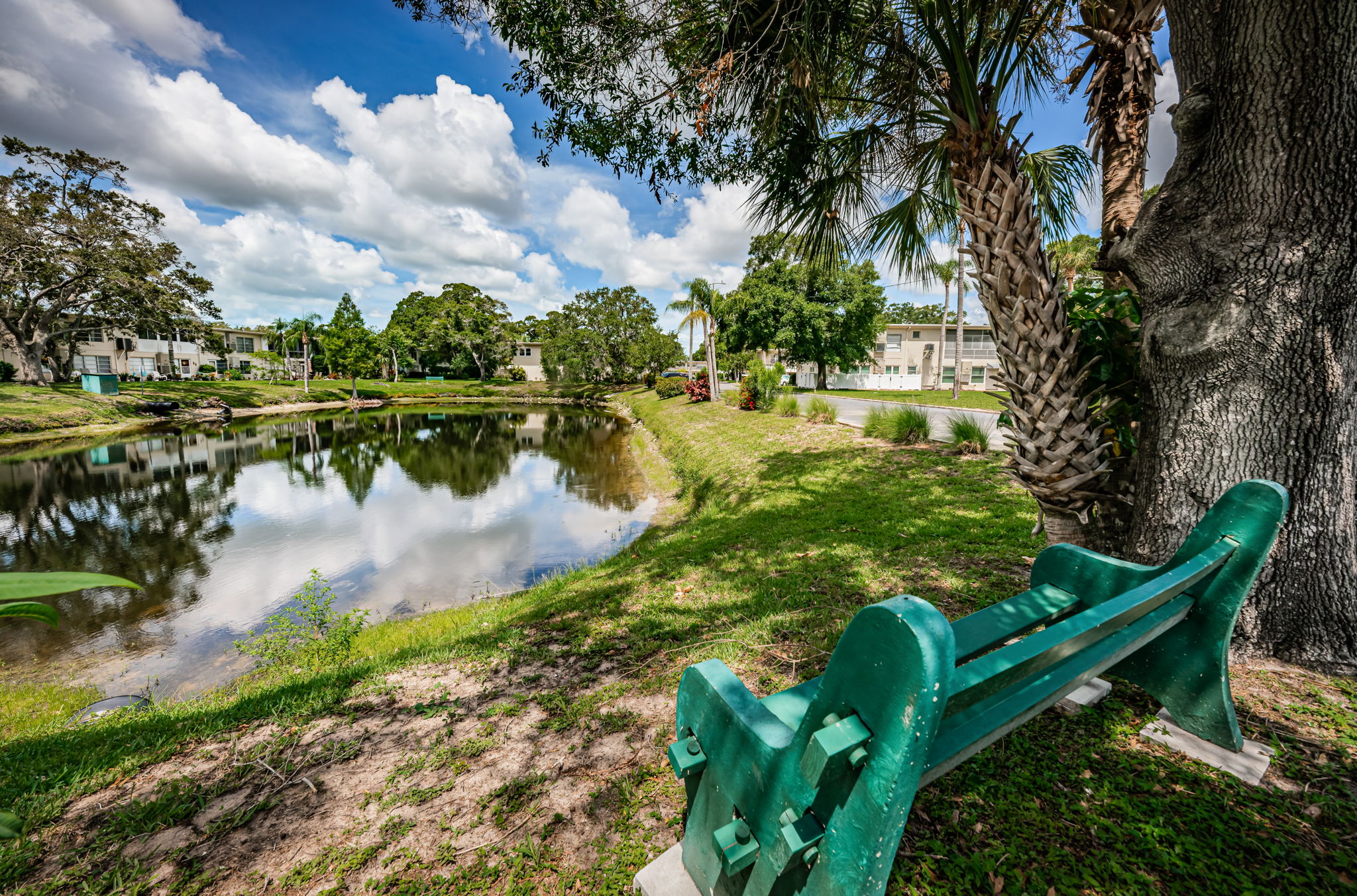 Pond View1