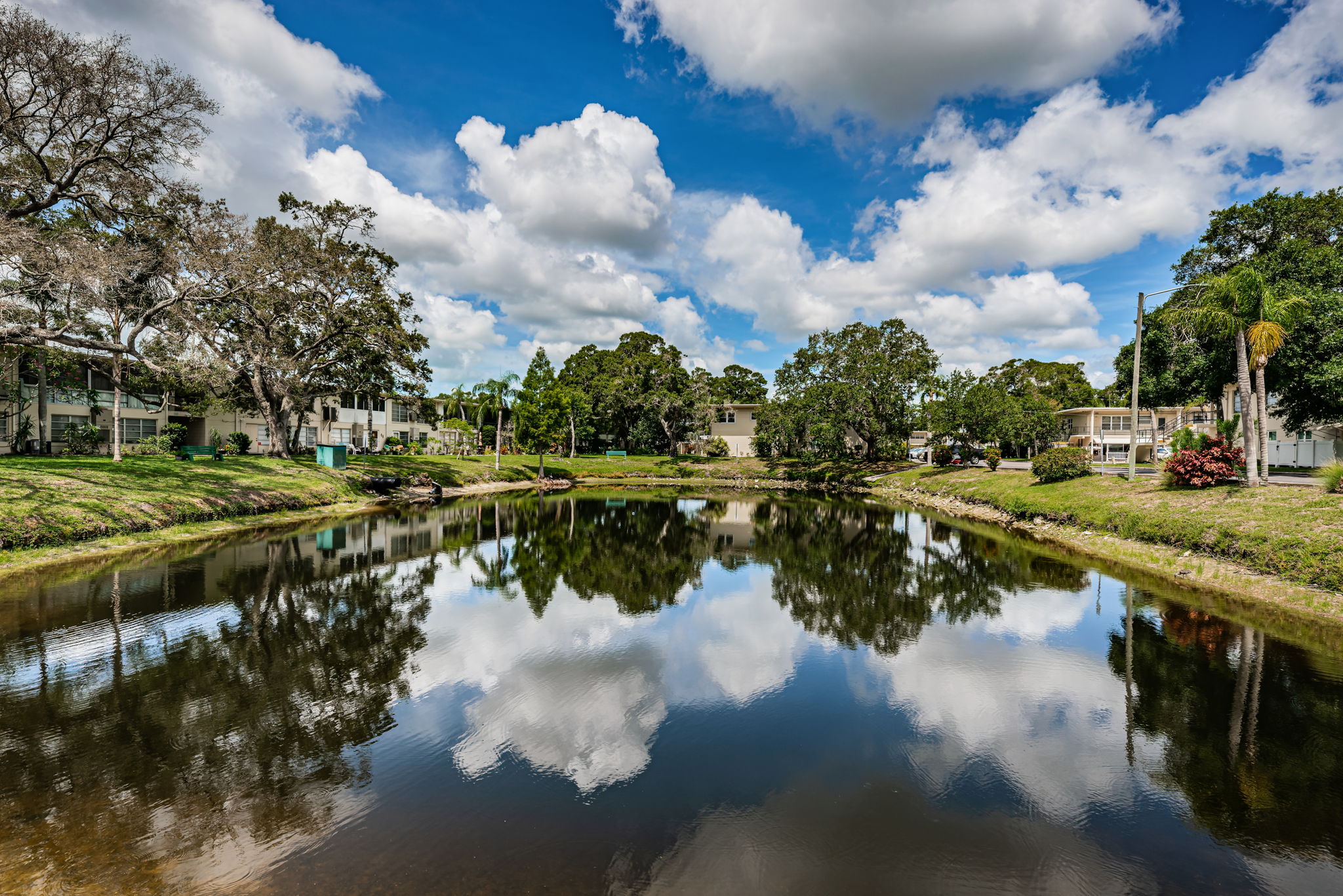 Pond View4