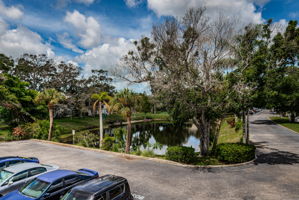 Entry Pond View