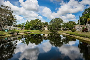 Pond View2