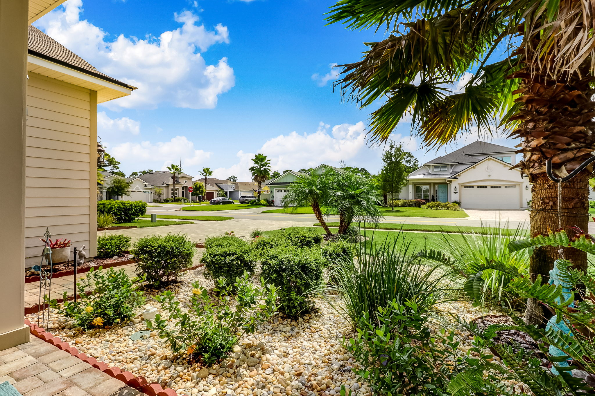 Front Yard