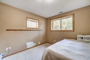 Lower Level - Bedroom