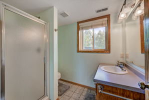 Lower Level - Bathroom