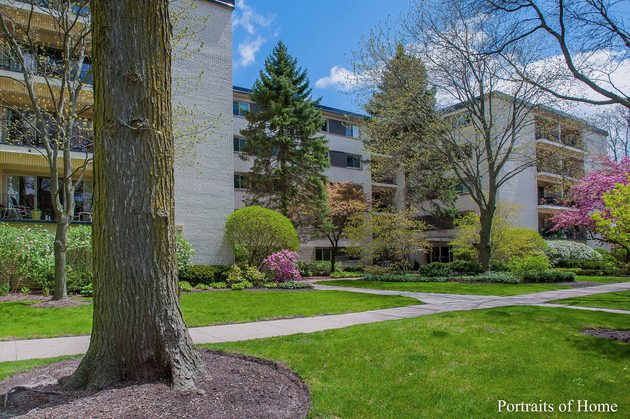  415 Franklin Ave, River Forest, IL 60305, US