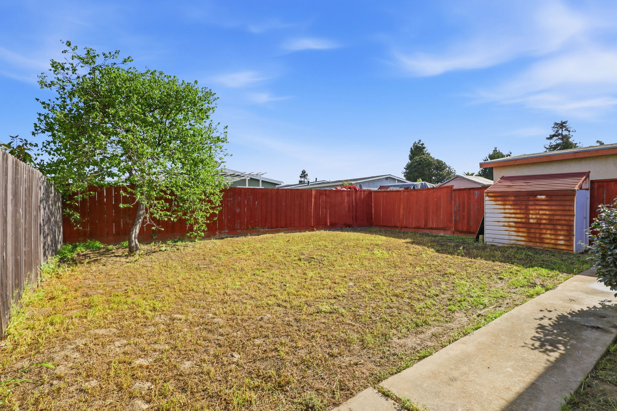 Generously Sized Back Yard