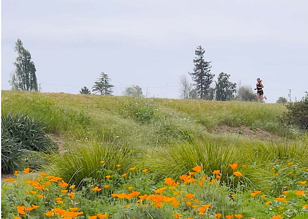 Nearby walking/running path