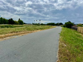 Nearby walking/running path